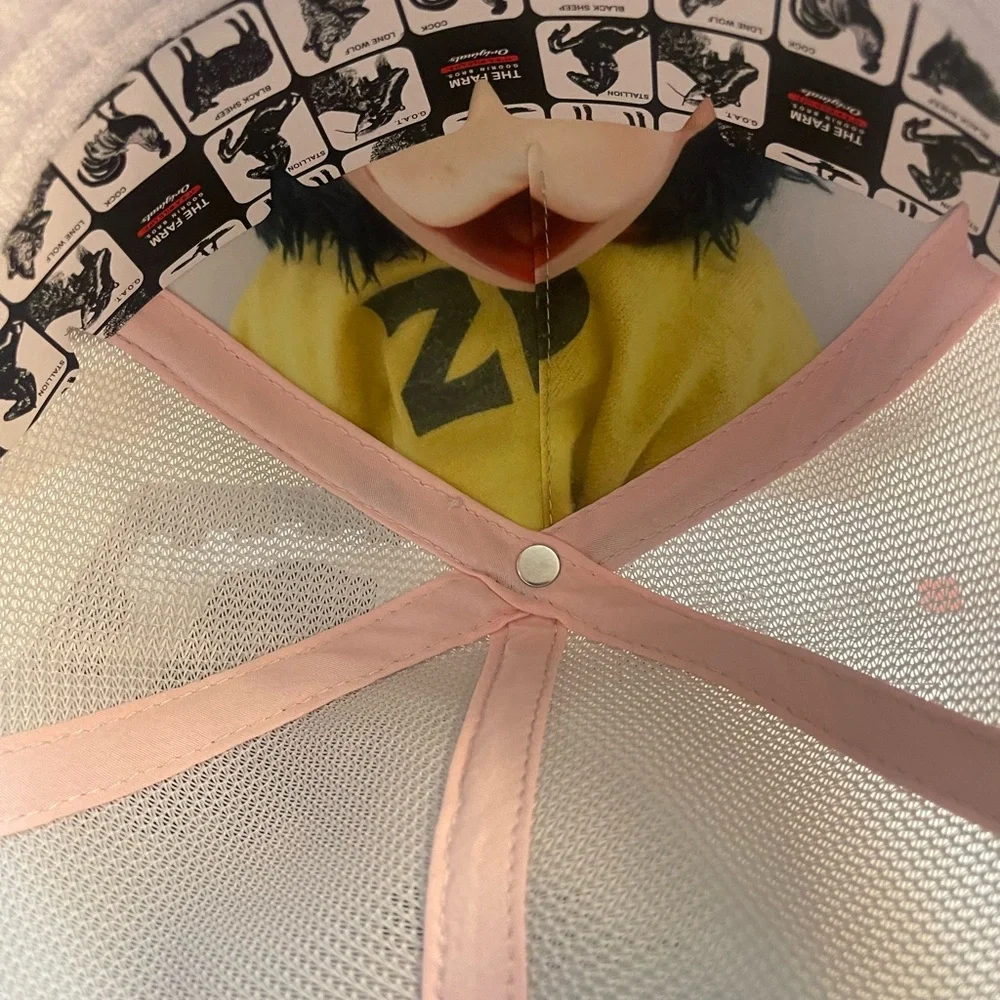 Goorin Bros Blue and Pink Monkey Patch Hat - Picture 5 of 5